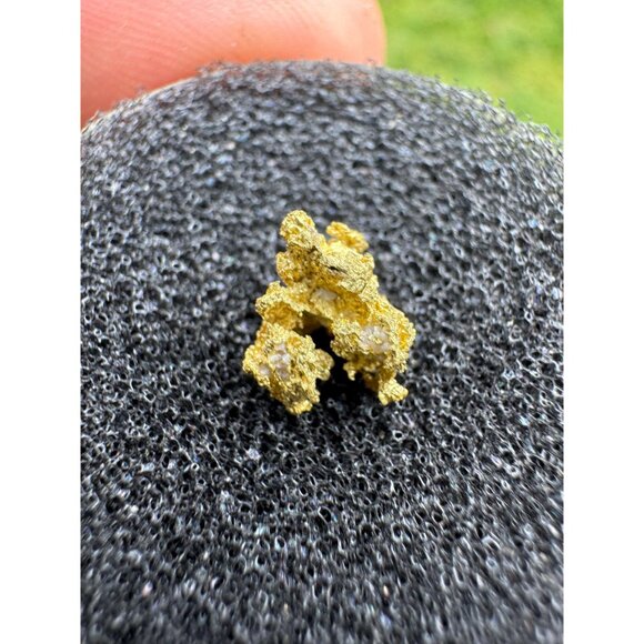 California Native Gold Crystal - 0.48 grams - Picture 3 of 5